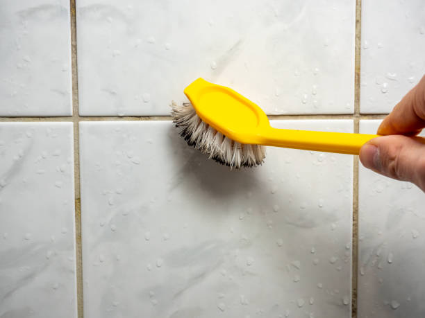 Best Toxic Mold Removal  in Gruver, TX