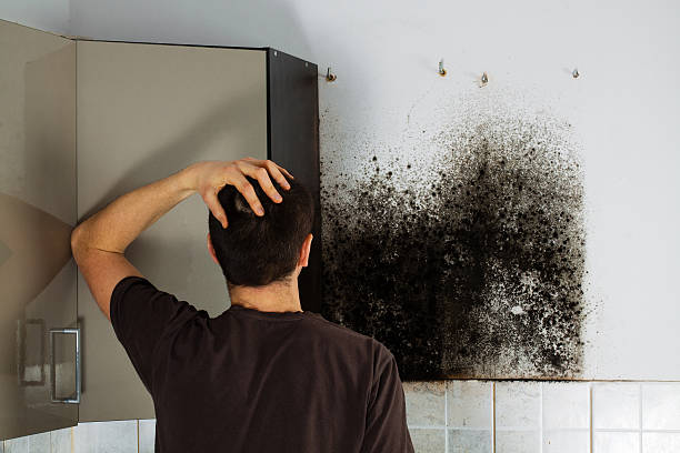 Best Mold Cleaning Services  in Gruver, TX